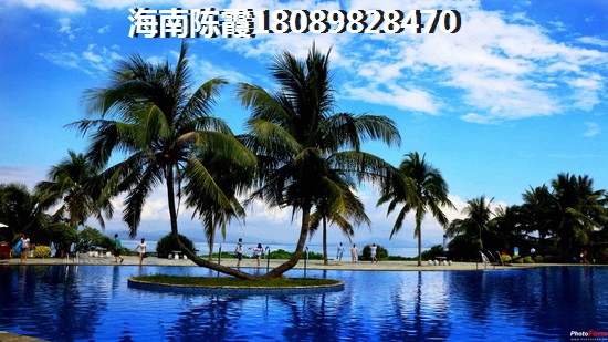 恩施金麟府属于哪个片区