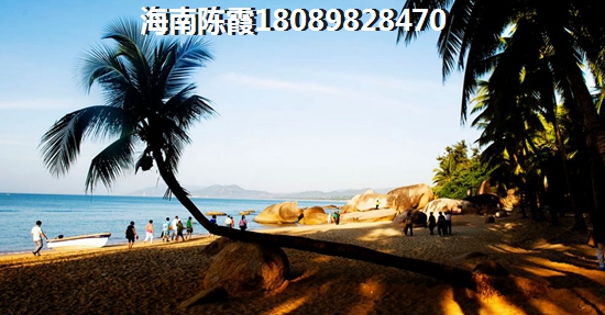 湖北醉具发展潜力城市