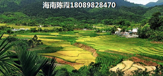利川新天地房价2024要暴跌是真的吗？