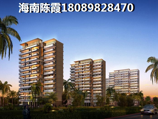 苏马荡林海云天 一居  户型图