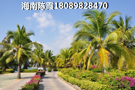 天镜小镇 景观园林 